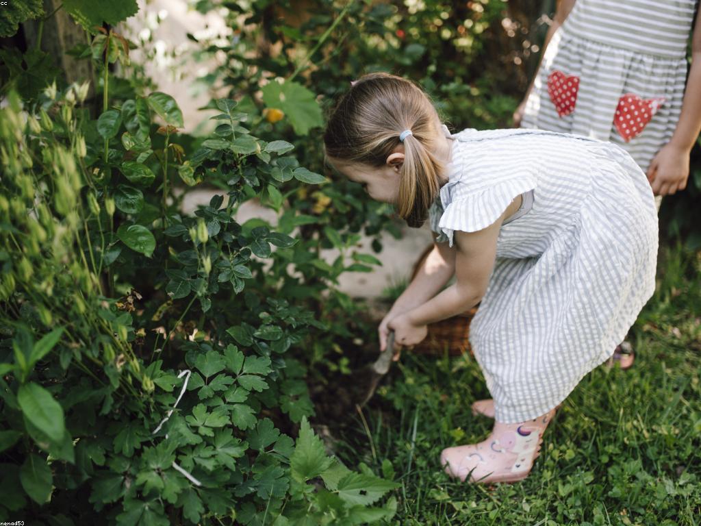 អារម្មណ៍ល្អ: របៀបកសាងអារម្មណ៍វិជ្ជមានក្នុងជីវិតរៀងរាល់ថ្ងៃ