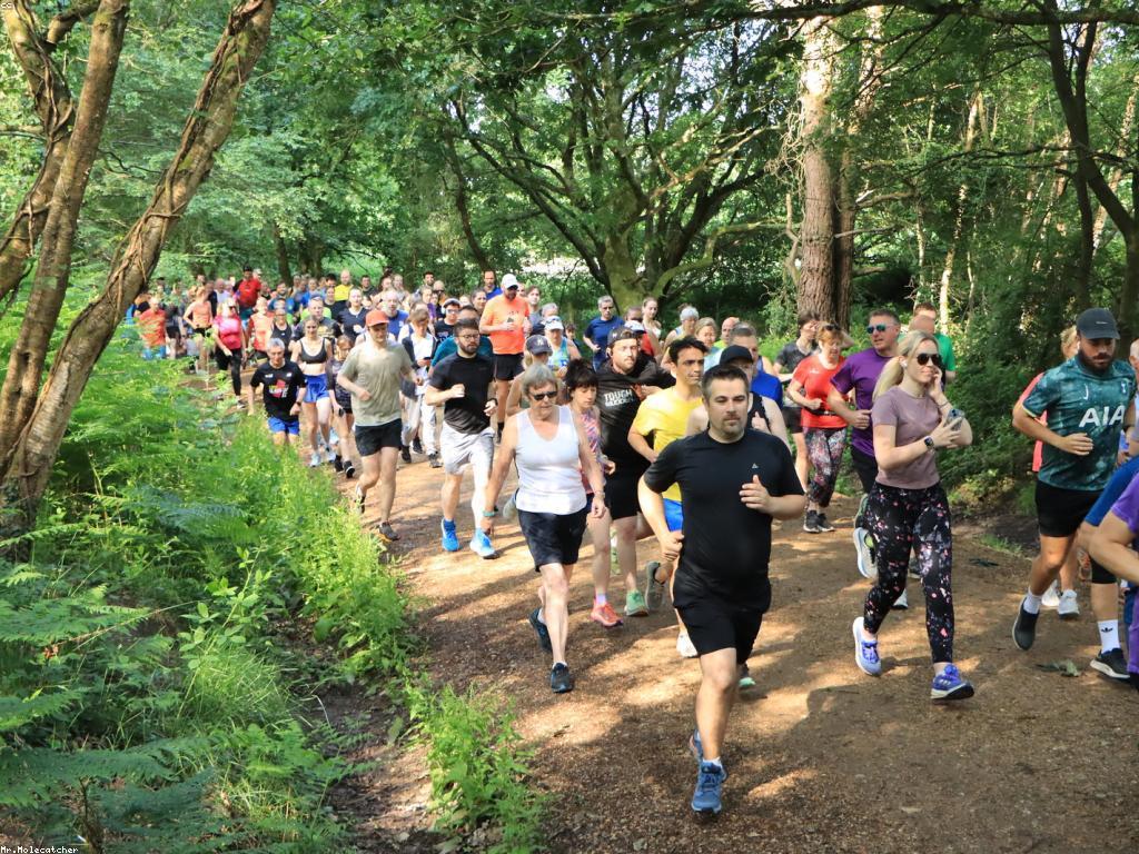 អារម្មណ៍ល្អ: របៀបបង្កើននិងរក្សាអារម្មណ៍វិជ្ជមាន