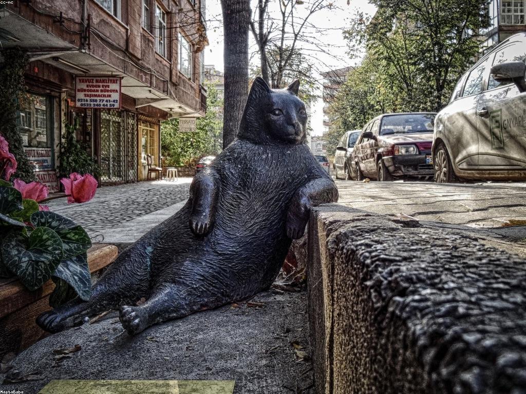 បច្ចេកវិទ្យាថ្មី និងផលប៉ះពាល់ដល់សម្រស់